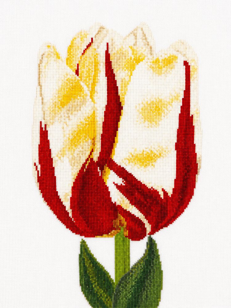 Thea Gouverneur  516  Tulipe  kit point croix compté