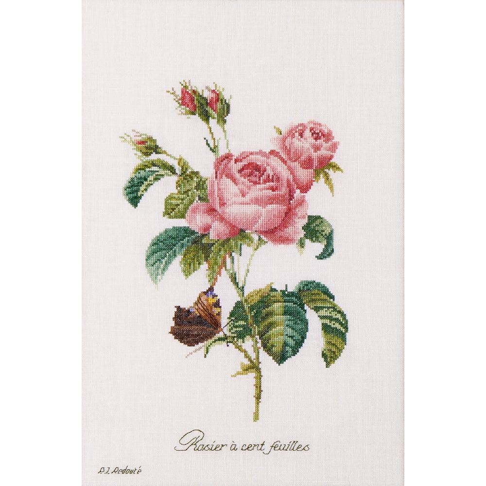Thea Gouverneur 2030  kit point croix compté  Rose redouté