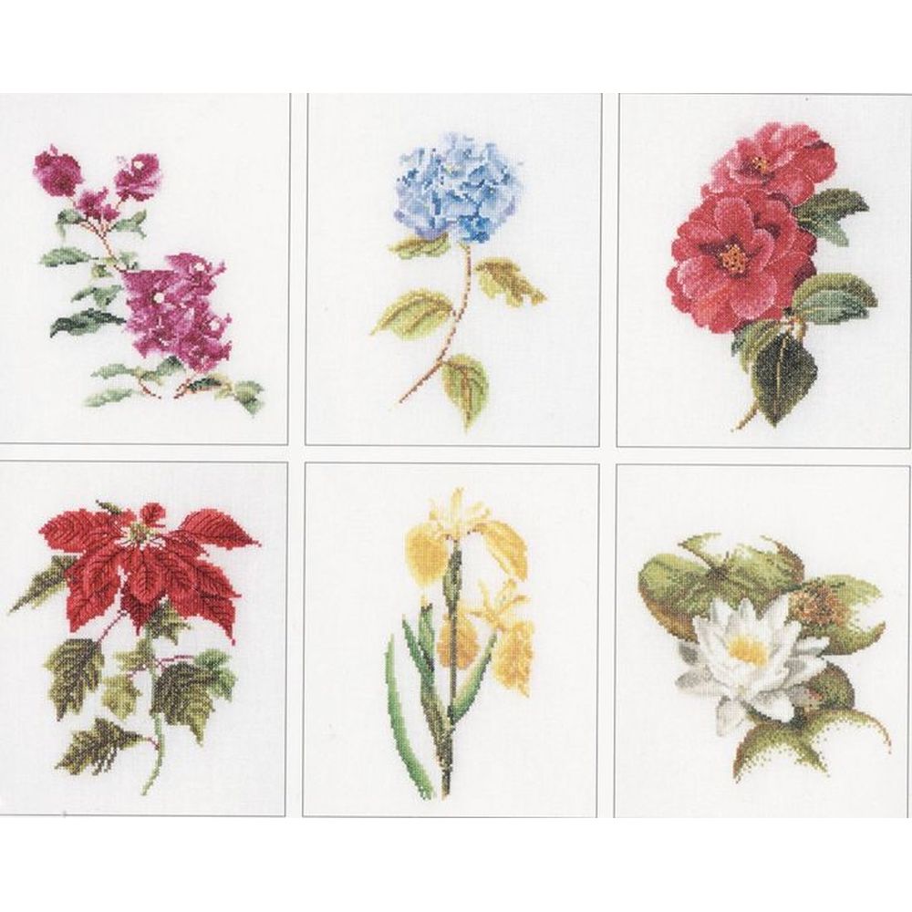 Thea Gouverneur 3087  kit point croix  Six études Florales