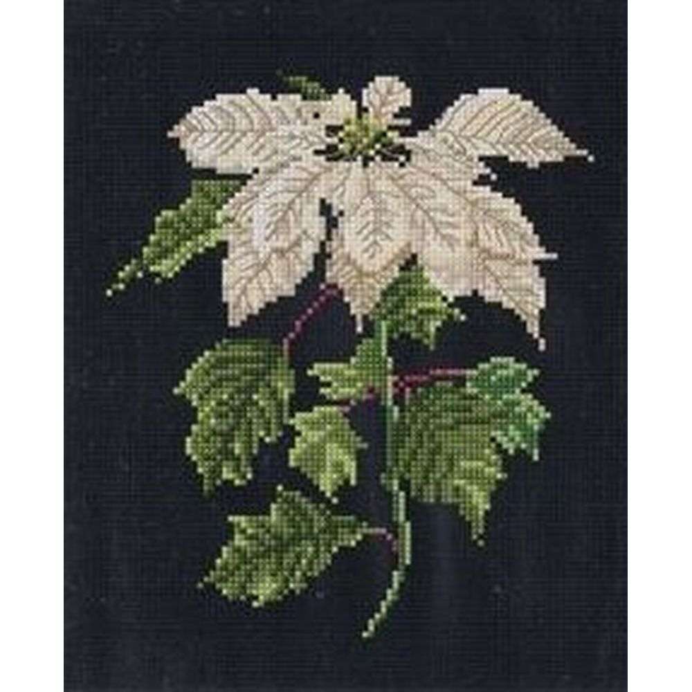 Thea Gouverneur 604-05  kit point croix  détaillé  Poinsettia