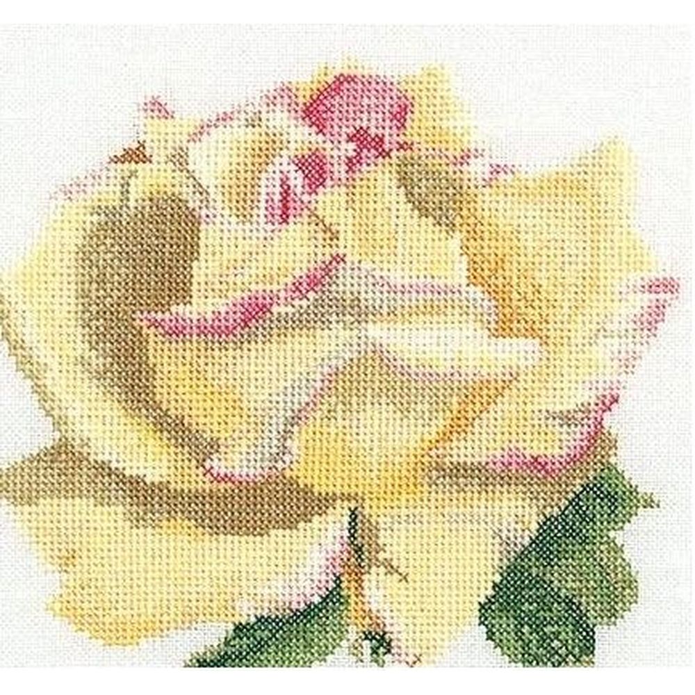 Thea Gouverneur 3076  Rose  détaillé