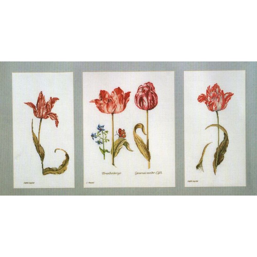 Thea Gouverneur 2039  kit point de croix  Tulipes