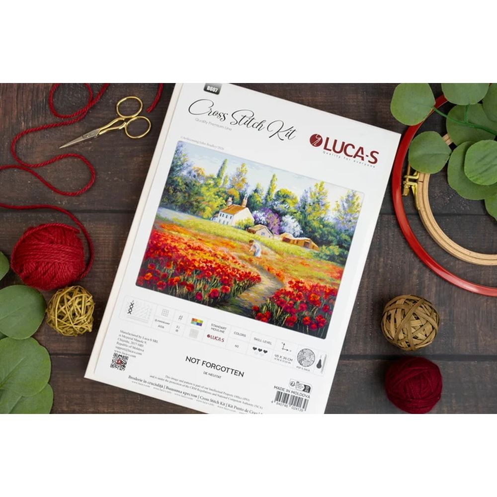 Luca-S B607  Kit de broderie