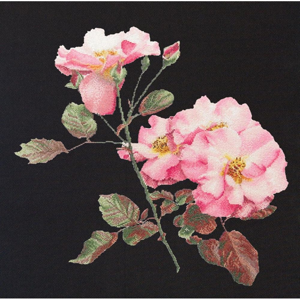 Thea Gouverneur 412-05  kit point croix  Rosa leersum