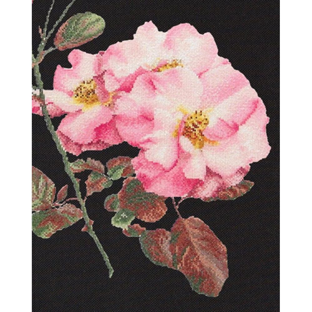 Thea Gouverneur 412-05  kit point croix compté  Rosa leersum