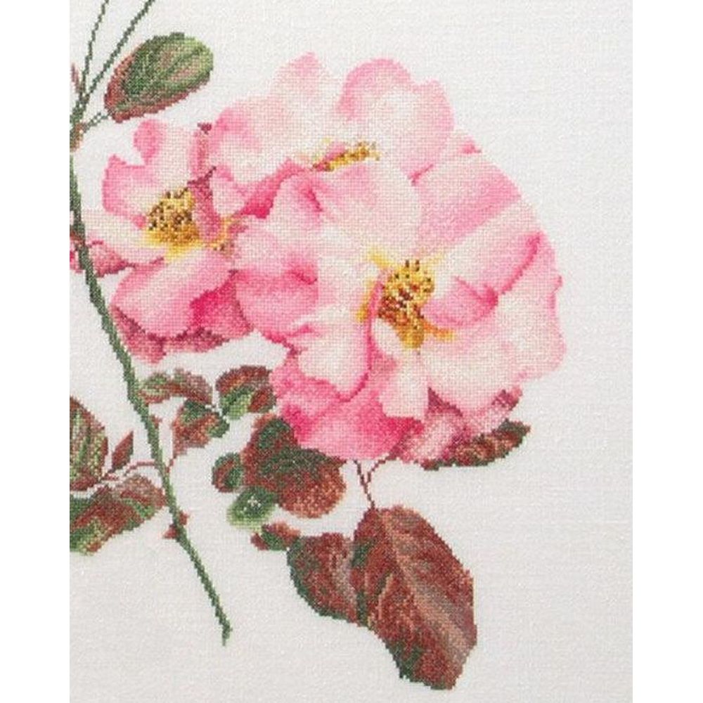 Thea Gouverneur 412  kit point croix compté  Rosa leersum