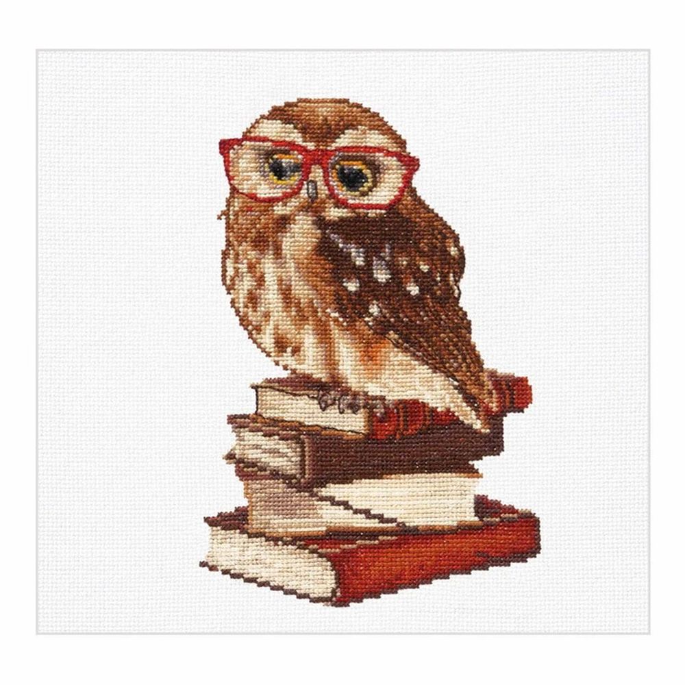 Thea Gouverneur 745  Kit point de croix compté  Owlways be happy
