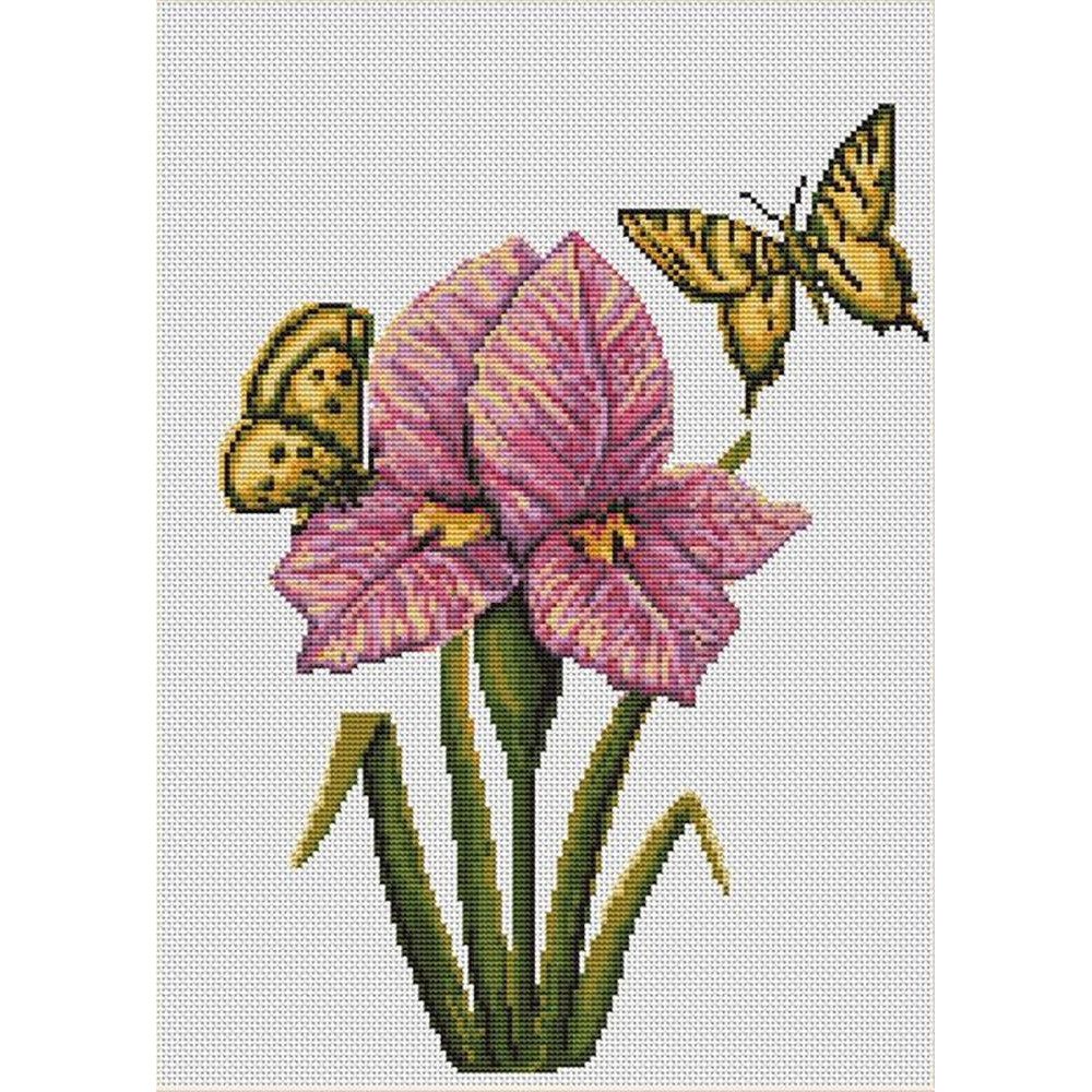 Orchidée et papillons  LUCA-S  B224