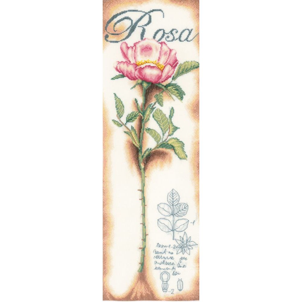 Roses Rose  0154334  Lanarte