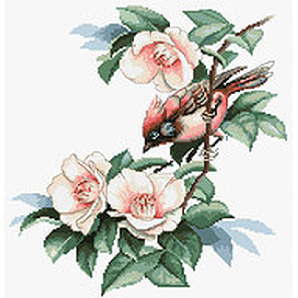 Oiseau dans les fleurs  B299  Luca-S