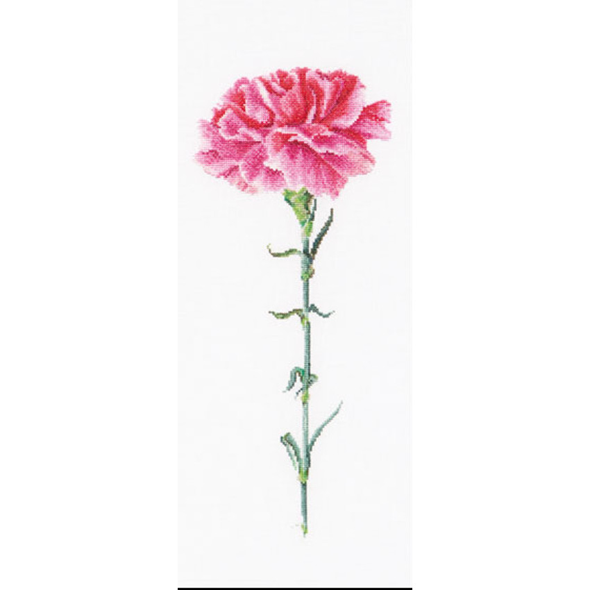 Carnation pink  467A  Thea Gouverneur