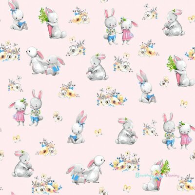 lapin 6