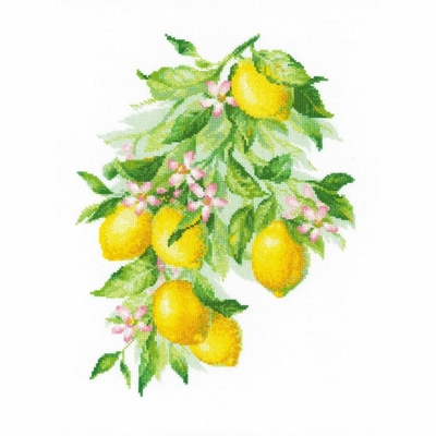 Riolis 2054  kit point de croix compté  Citrons brillants  2