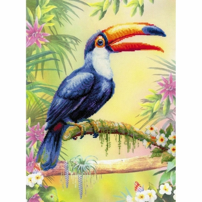 Riolis  0077PT - kit point de croix compté - Toucan - 1