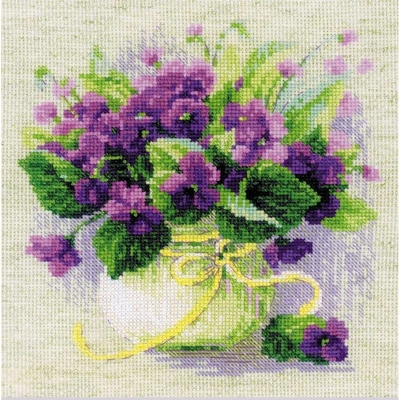 Violettes en pot  2091 Riolis