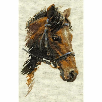 Riolis 826  kit point de croix compté  Cheval bulat 1