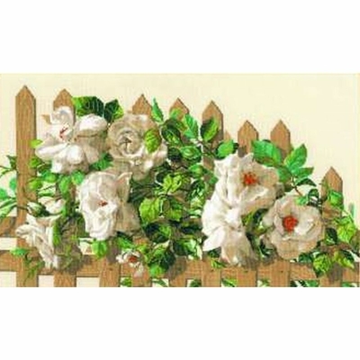 Riolis 1059 kit point de croxix compté Rose blanche