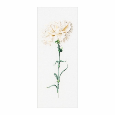 Thea Gouverneur 466 - kit point croix compté Oeillet blanc