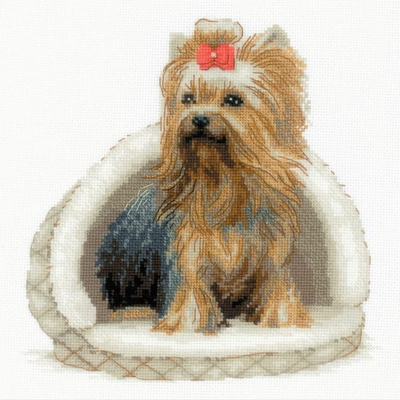 Riolis 2152  kit point croix  Yorkshire Terrier  1