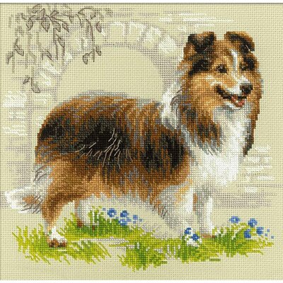 Riolis 1710  kit point croix  Chien sheltie