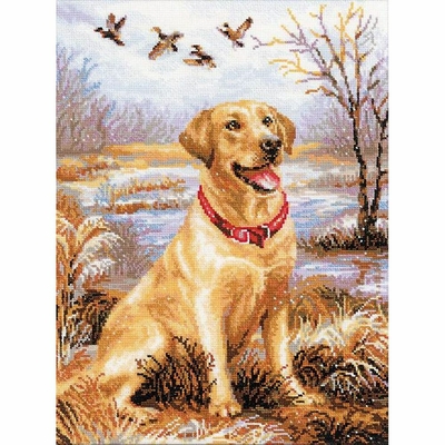 Riolis 1399  kit point croix compté  Chien labrador  1