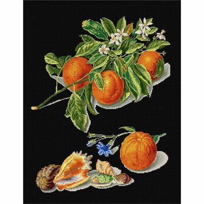 Thea Gouverneur 3061-05  kit point croix  Orange et Mandarine