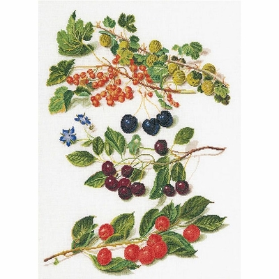 Thea Gouverneur 3063  kit point de croix compté fruits rouge