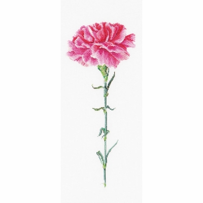 Oeillet rose  Carnation pink  467 Aida  Thea Gouverneur