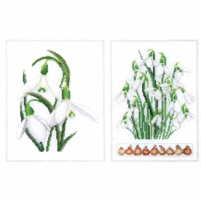 Thea Gouverneur 446  kit point croix compté  Galanthus  a