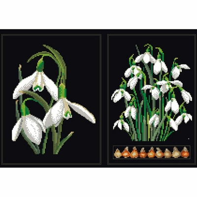 Thea Gouverneur 446-05  kit point croix  Galanthus  1