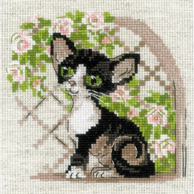 Riolis 2121  kit point croix  Chaton Rex de Cornouailles  2