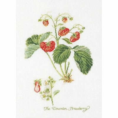 Thea Gouverneur 2085  kit point de croix compté  Fraises