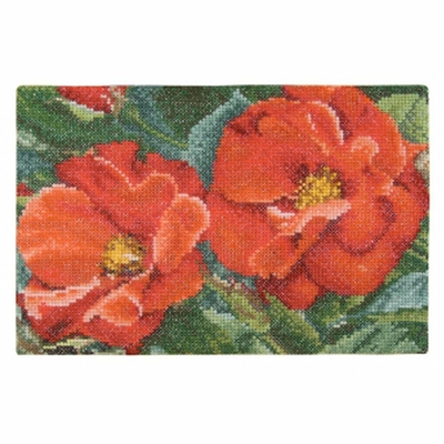 Thea Gouverneur 427  kit point de croix compté  Rose orangeade