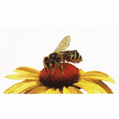 Thea Gouverneur 585  kit point croix  abeille sur échinacée jaune