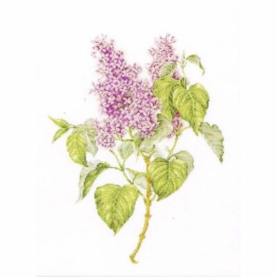 Thea Gouverneur 588  kit point croix  Lilas