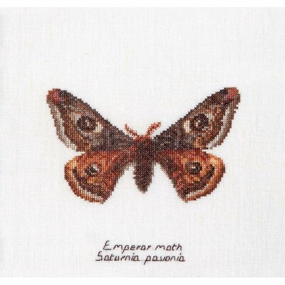 Thea Gouverneur 562  kit point de croix compté  Papillon empereur