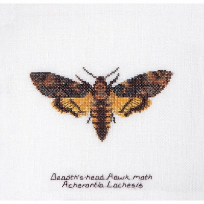 Thea Gouverneur 563  kit point de croix  papillon de nuit