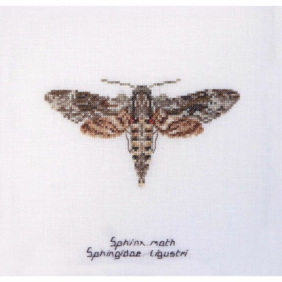 Thea Gouverneur 564  kit point de croix  Papillon Sphins