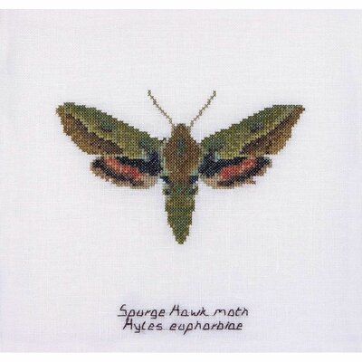 Thea Gouverneur 565  kit point de croix  Papillon de nuit Euphorbe