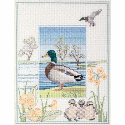 Bothy Threads WIL8  Faune canard colvert  kit point de croix