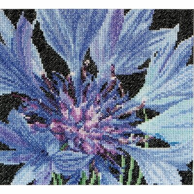 Thea Gouverneur 489  kit point de croix compté  Fleur de Bleuet