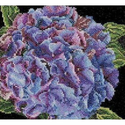 Thea Gouverneur 497  kit point de croix compté  Hydrangea