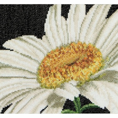 Thea Gouverneur 490  ki point de rcoix compté  Marguerite