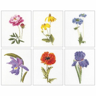 Thea Gouverneur 3085  kit point de croix  Six études floral