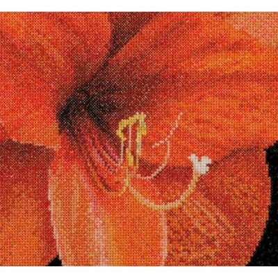 Thea Gouverneur 496  kit point de croix compté  Amaryllis  2