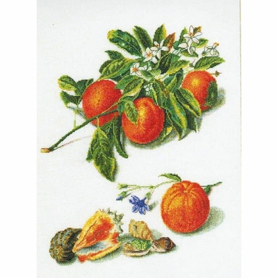 Thea Gouverneur 3061  kit point croix  Orange et Mandarine