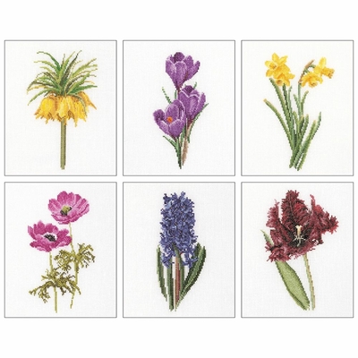 Thea Gouverneur 3083  kit point de croix compté  études floral III