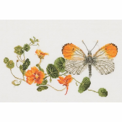 Thea Gouverneur 437  kit point de croix compté  Papillon nasturtium