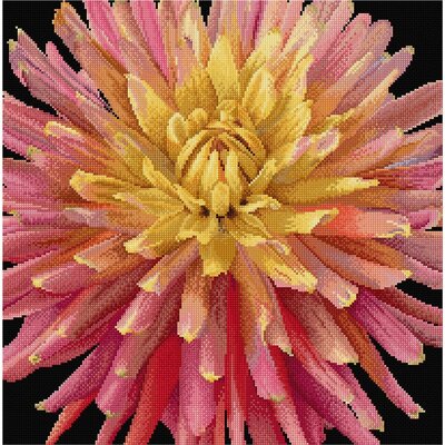 Thea Gouverneur 441-05  kit point croix compté  Dahlia  1