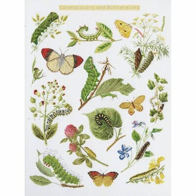 Thea Gouverneur 587  kit point croix compté  Chenilles  Papillons